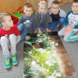 zajecia-edukacyjne-z-pracownikami-nadlesnictwa