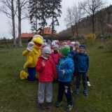 eko-dzialania-z-mrowka