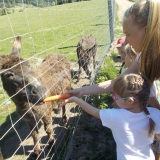 wycieczka-do-mini-zoo