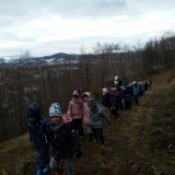 wycieczka-do-lasu