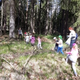 wycieczka-do-szkolki-lesnej-w-krzeszowie
