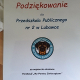 pies-w-przedszkolu