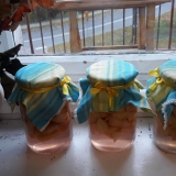 kompot