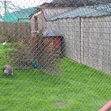 smerfy-i-muchomorki-na-wycieczce-w-zoo