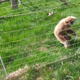 smerfy-i-muchomorki-na-wycieczce-w-zoo