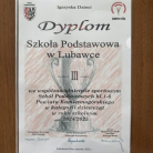 miniatura_sukces-we-wspolzawodnictwie-sportowym-dziewczat-klas-i-iii